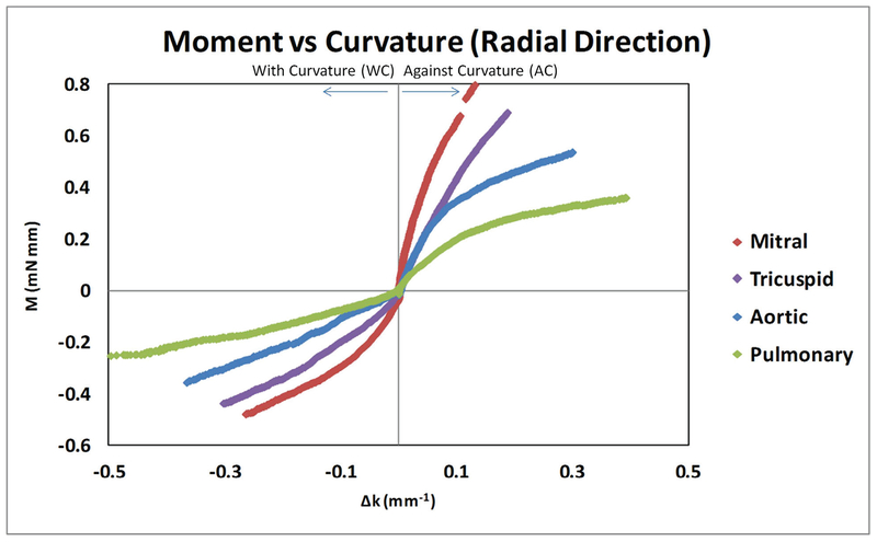 FIG. 2: