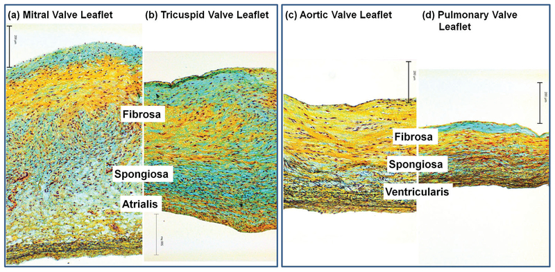 FIG. 4: