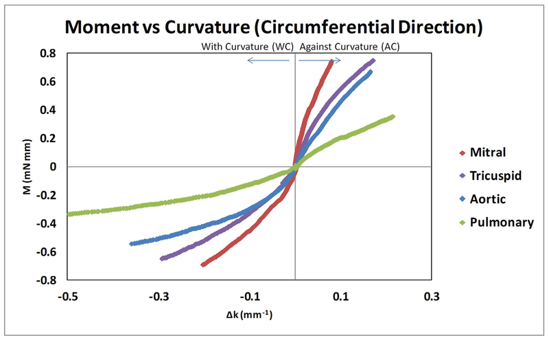 FIG. 1: