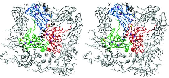 FIG. 8