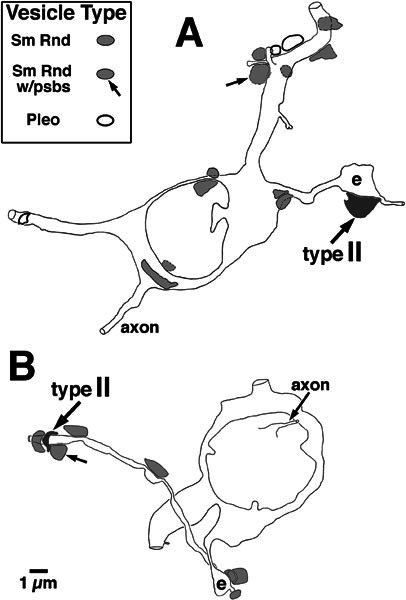 Figure 5