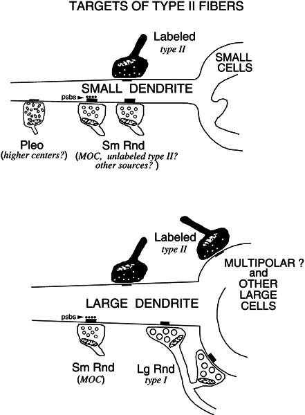 Figure 9