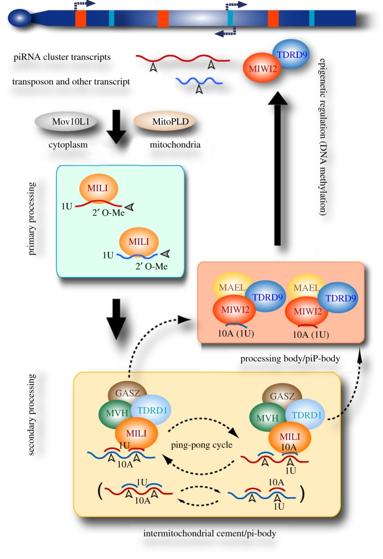 Figure 1.