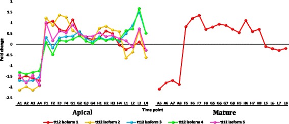 Fig. 13