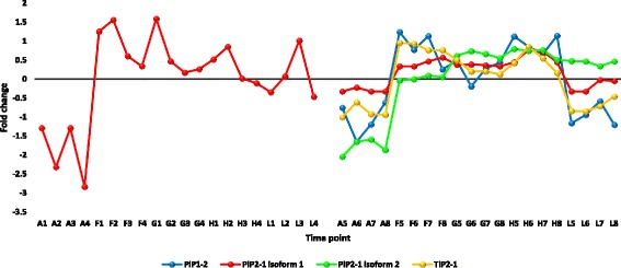 Fig. 12