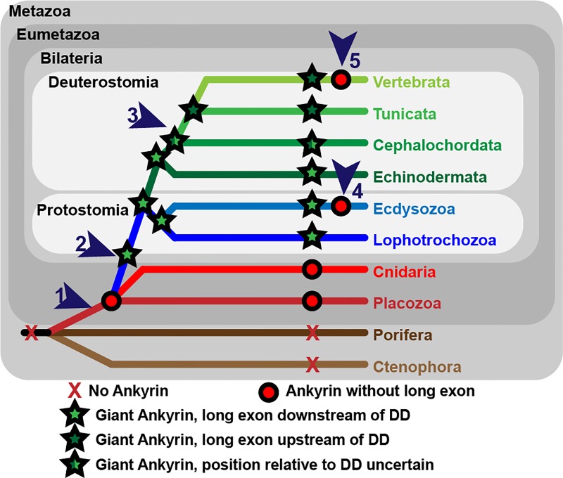 Fig 4