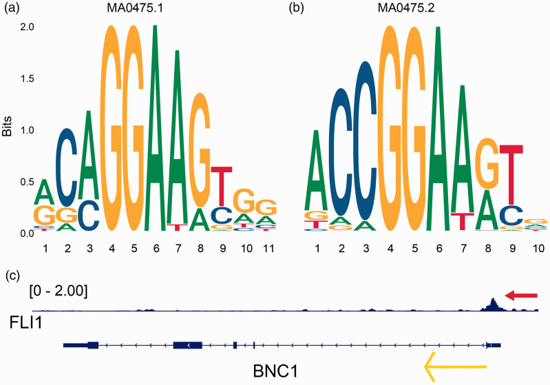 Figure 10.