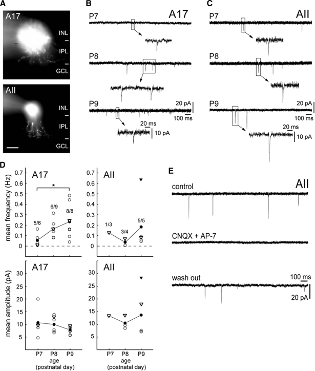 FIG. 8.