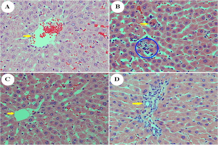 Fig. 8