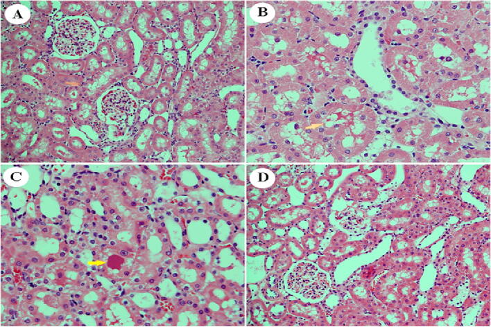 Fig. 9