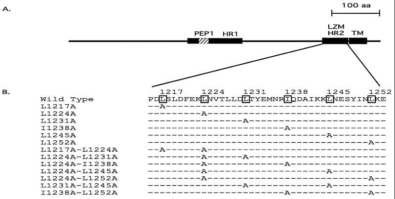 FIG. 1