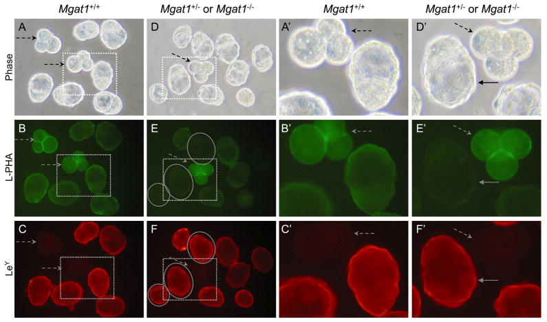 Fig. 9