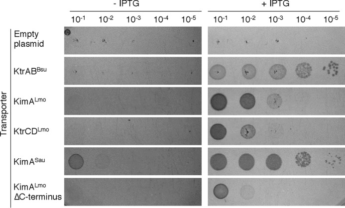 Figure 2.