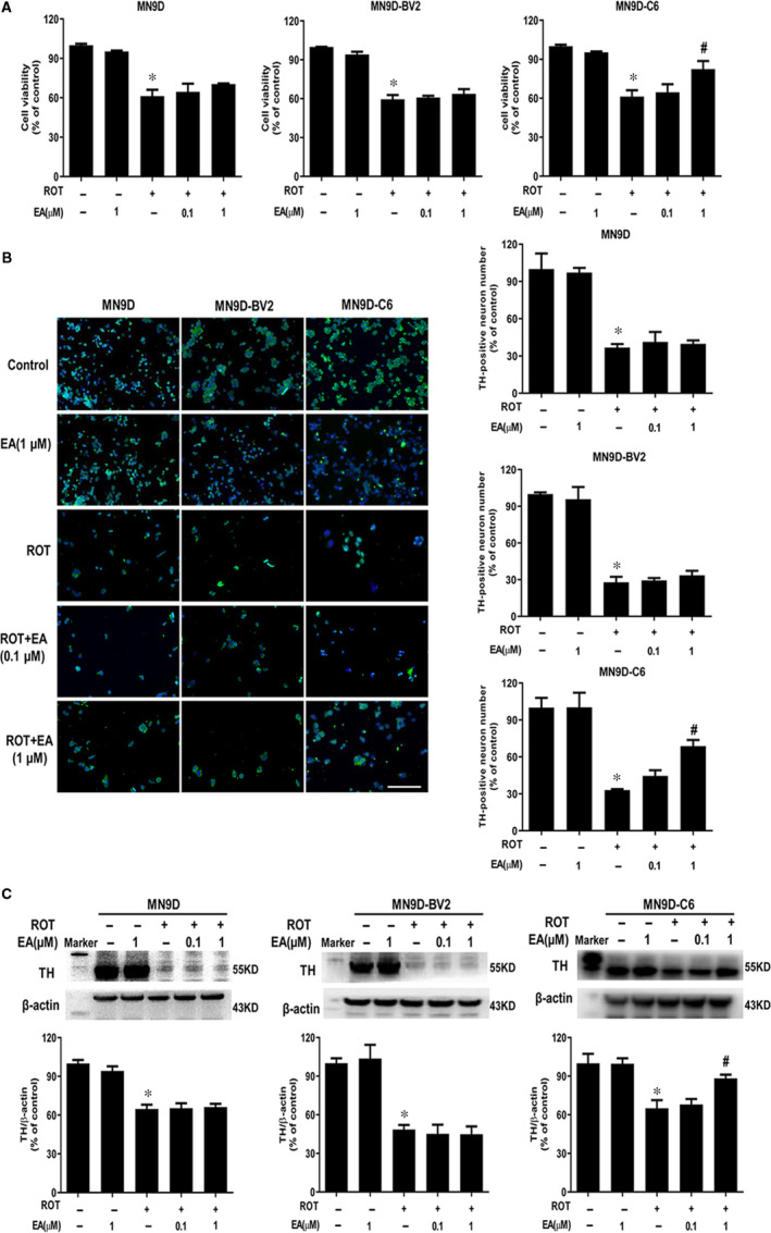 FIGURE 3