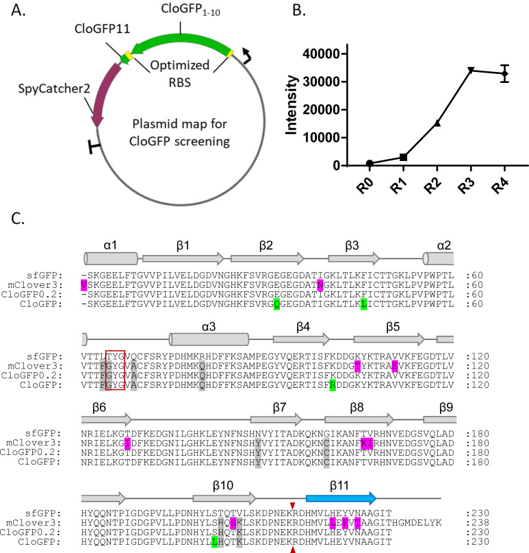 Fig 2