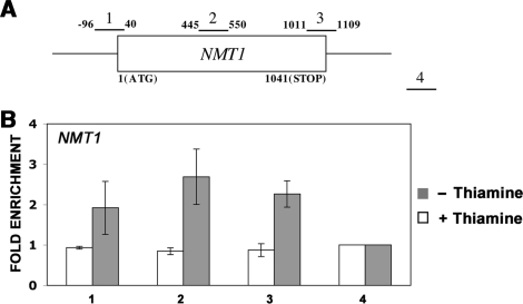 Figure 3.