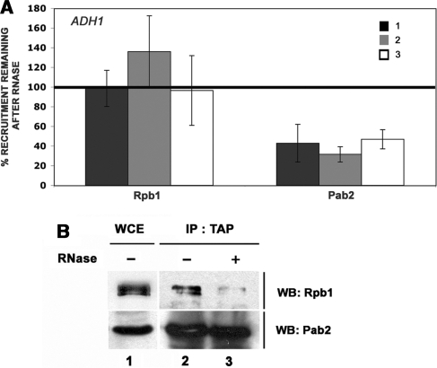 Figure 4.