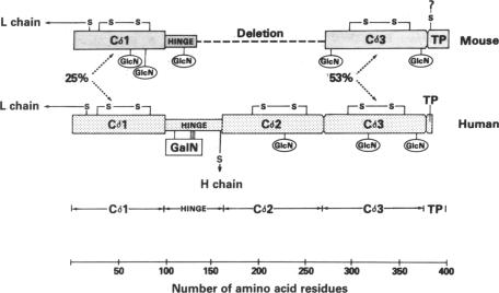 graphic file with name pnas00448-0118-b.jpg