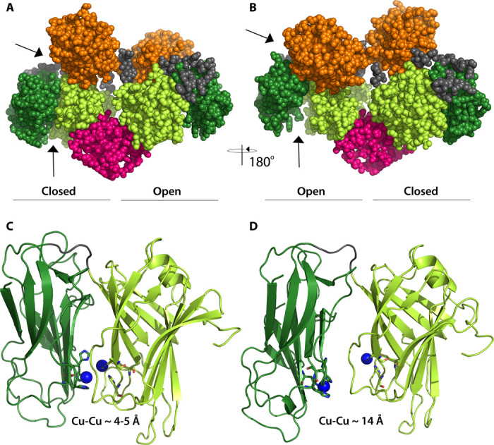 Fig. 2