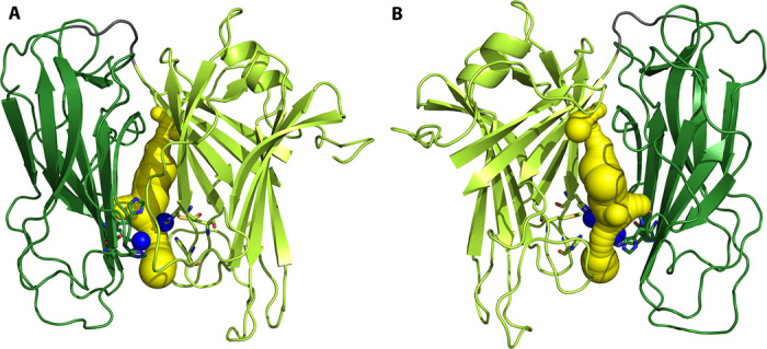 Fig. 6