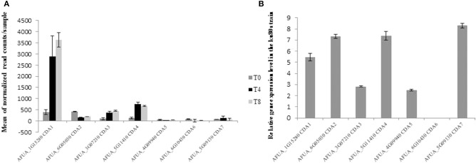 Figure 4