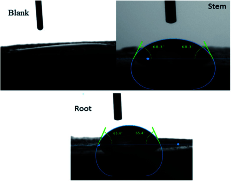 Fig. 5