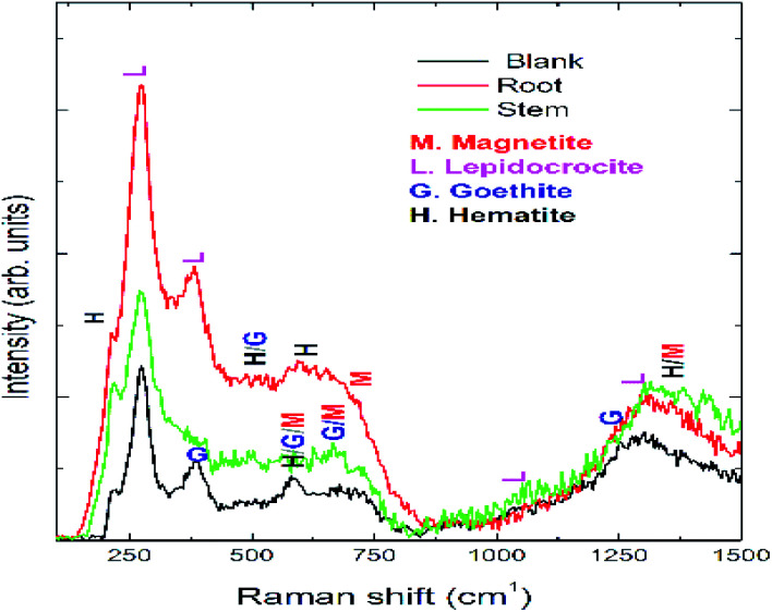 Fig. 9