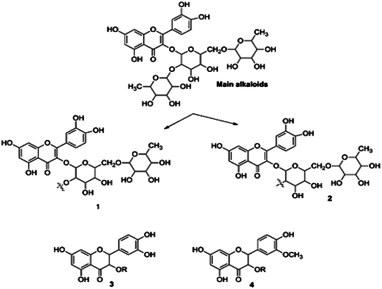 Fig. 16