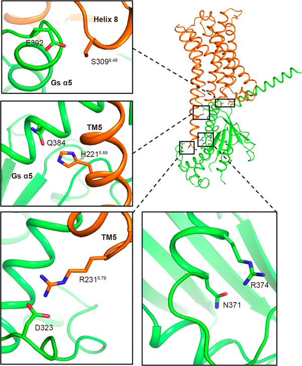 FIGURE 4