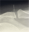 Fig. 5