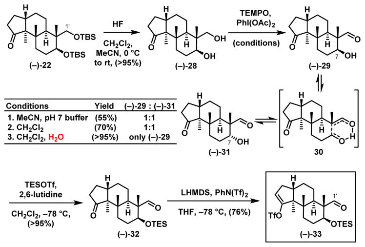 Scheme 8