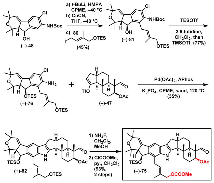 Scheme 17