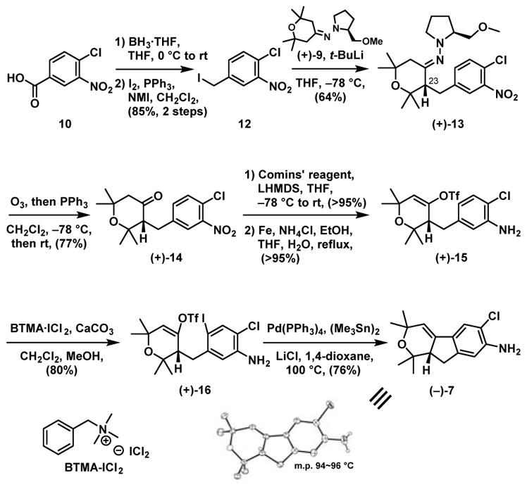 Scheme 4