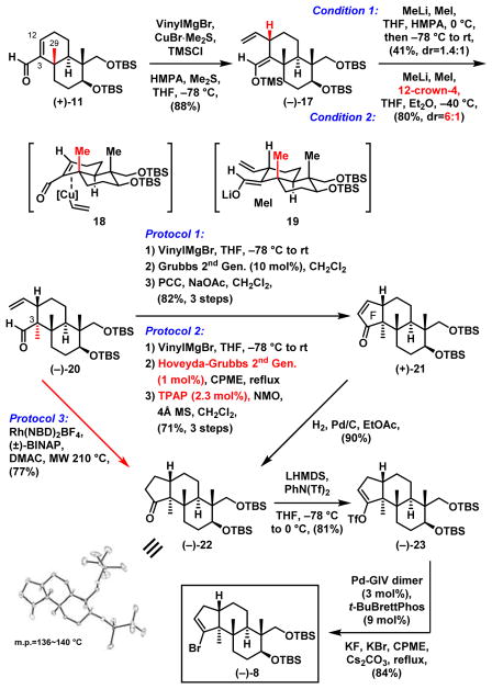 Scheme 5