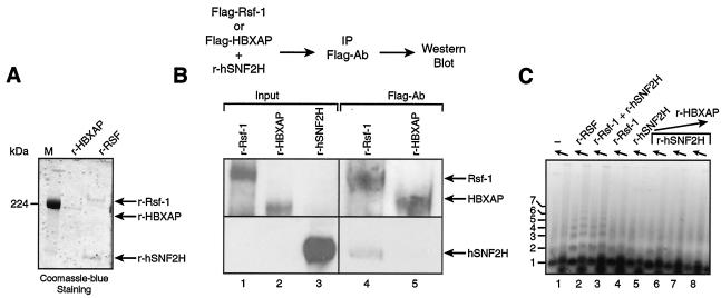 FIG. 6.