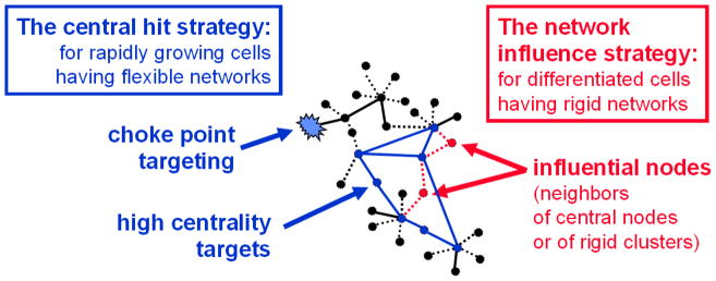 Fig. 19