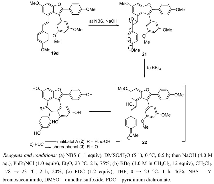 Scheme 3