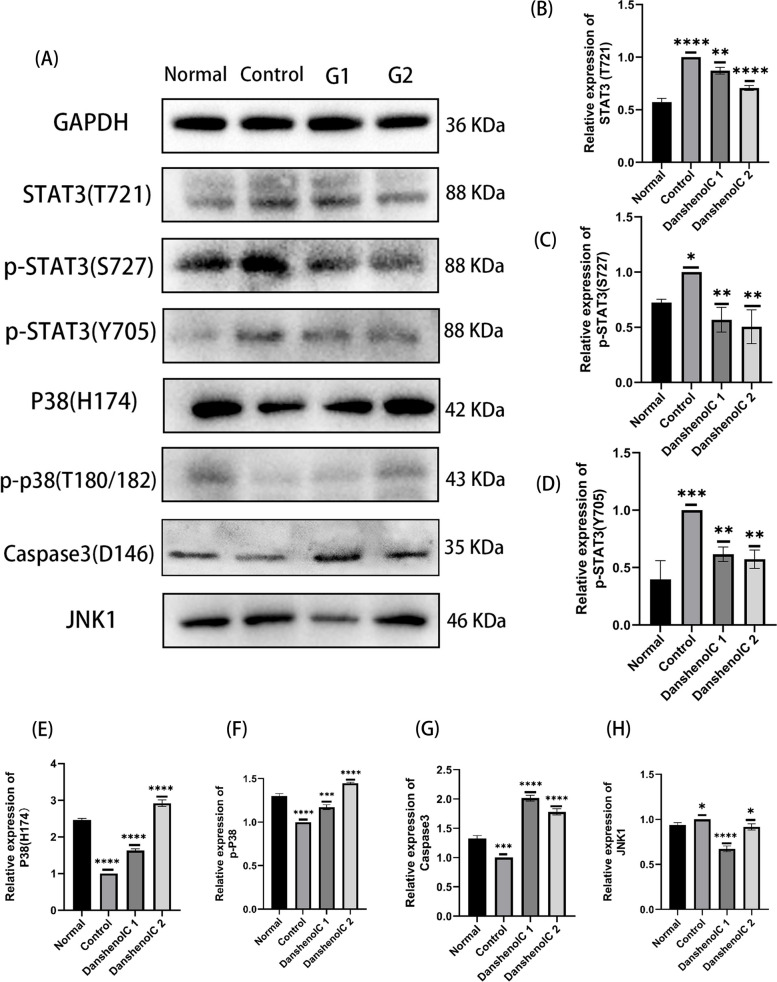 Fig. 15