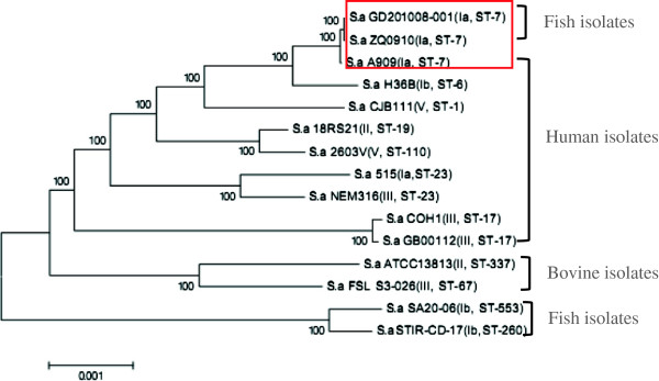 Figure 5