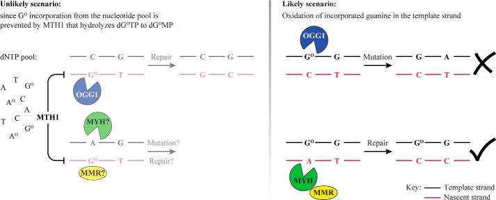 FIGURE 7.