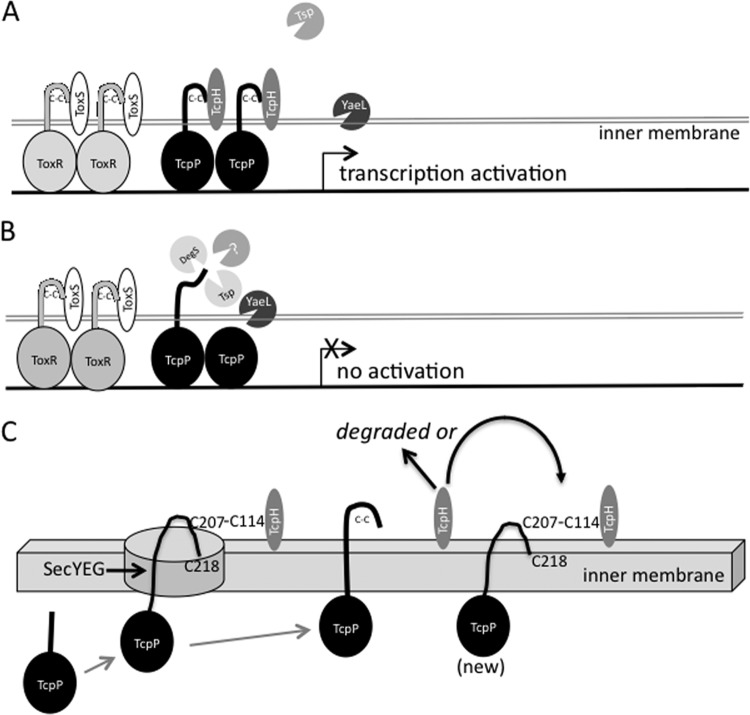 FIG 7