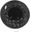 210