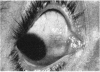 210