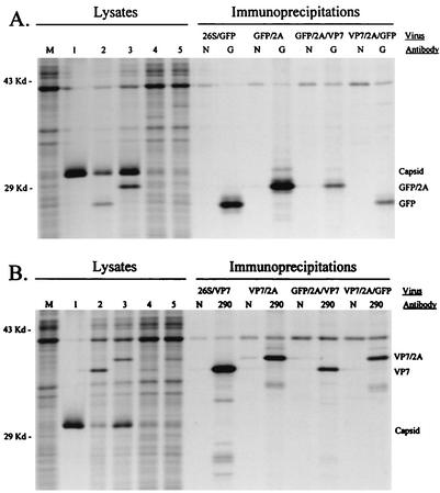 FIG. 4.