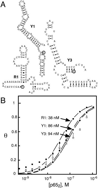 FIGURE 6.