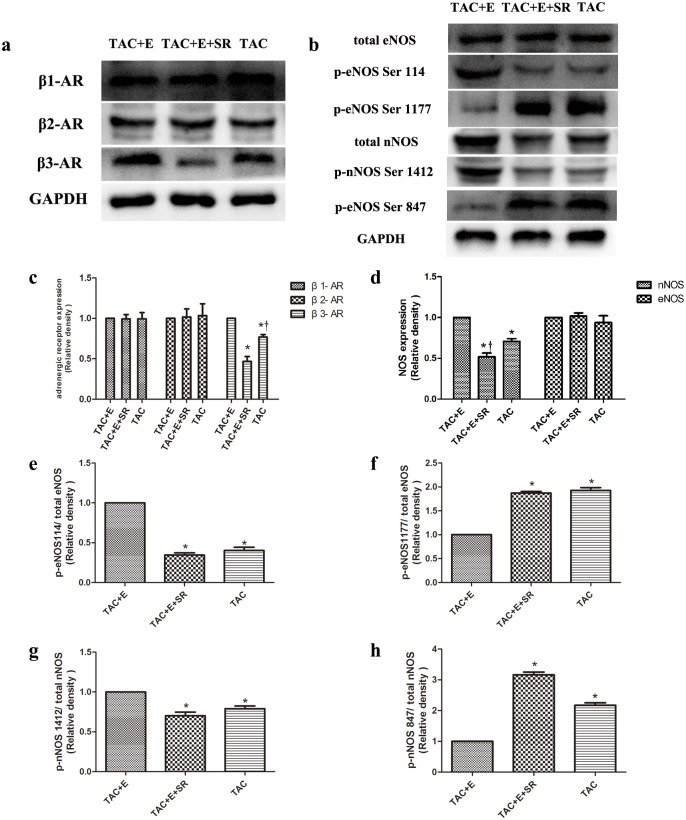 Fig 11