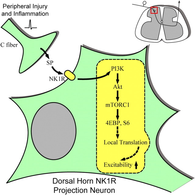 Figure 14.