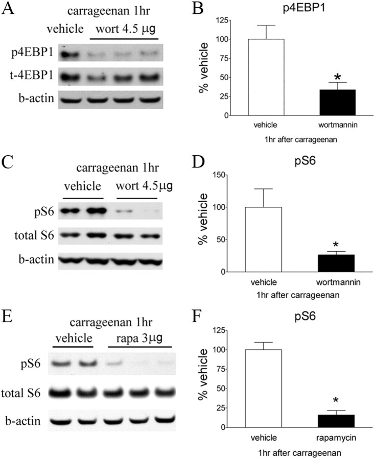 Figure 10.