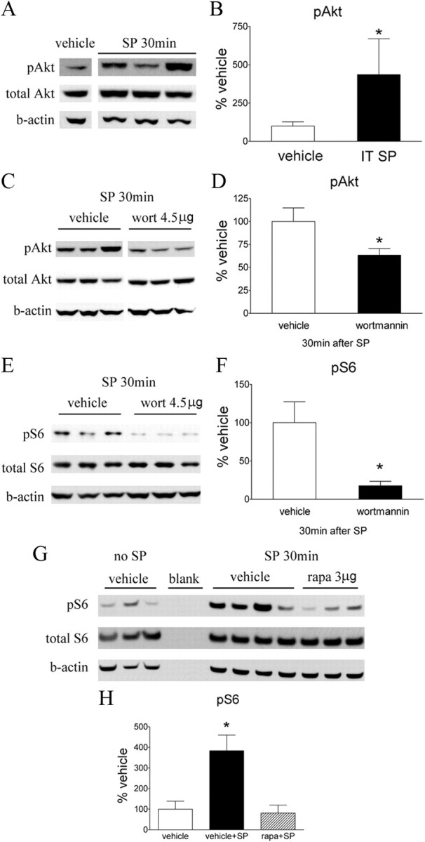 Figure 13.