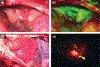 FIGURE 2 |